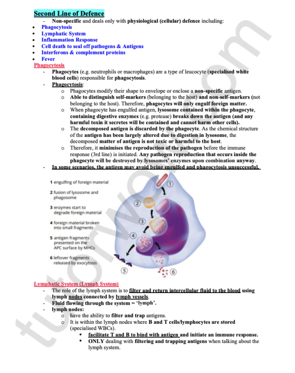 99 ATAR HSC Biology - All Modules